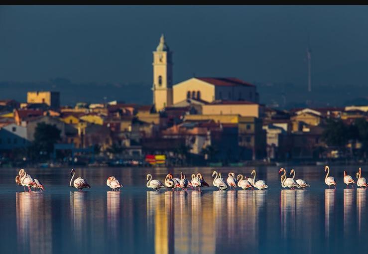 Casale Villa Giulia Marina Di Лезина Екстериор снимка